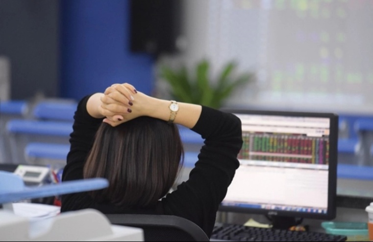 VN-Index tăng 330 điểm, tiền lớn đang ở đâu?