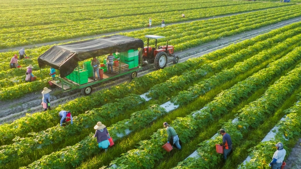 Ngành học mức điểm chuẩn chỉ từ 16 điểm, học xong không lo thất nghiệp: Nắm cơ hội thành công, doanh nghiệp săn đón với mức lương lên tới 25 triệu/thá