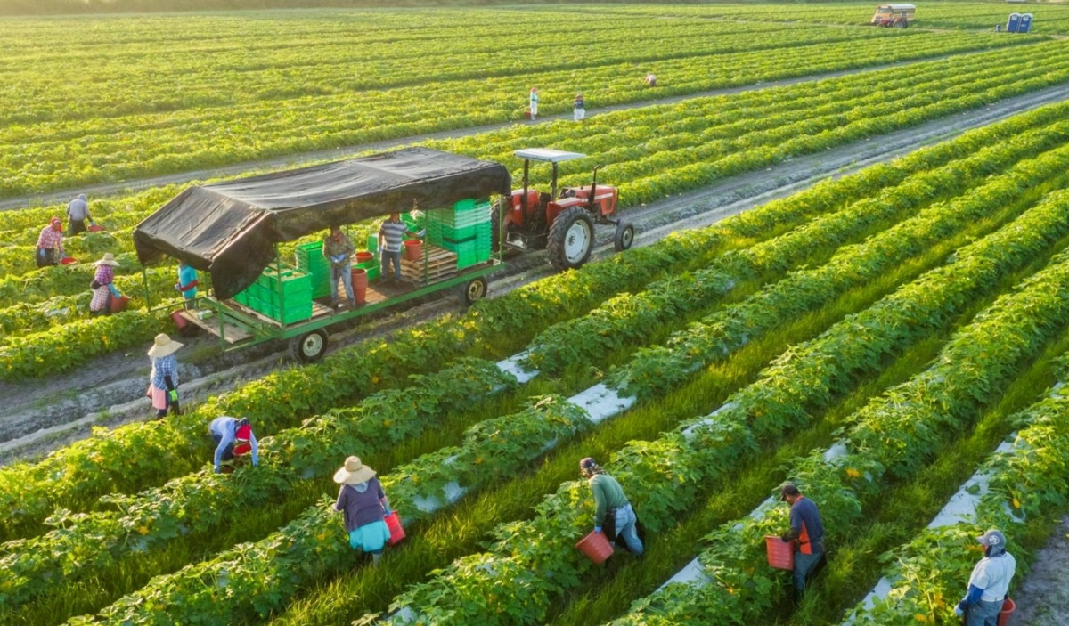 Ngành học điểm chuẩn chỉ từ 16 điểm, ra trường không lo thất nghiệp: Doanh nghiệp săn đón, lương lên tới 25 triệu/tháng