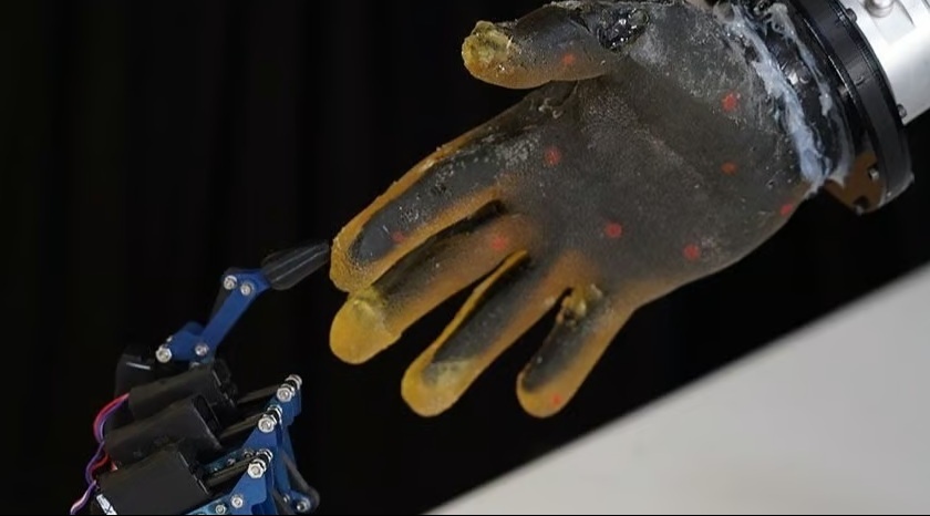 Robot giờ đã biết đau như người