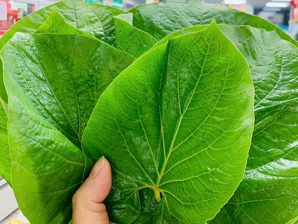 Loại rau rừng lạ lẫm xưa không ai biết nay được dân sành ăn săn lùng, giá cao vẫn đắt hàng