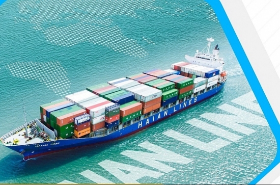 Cổ phiếu đối tác của Hòa Phát (HPG) tăng gần 1.700% sau 5 năm: Sắp trả cổ tức khủng