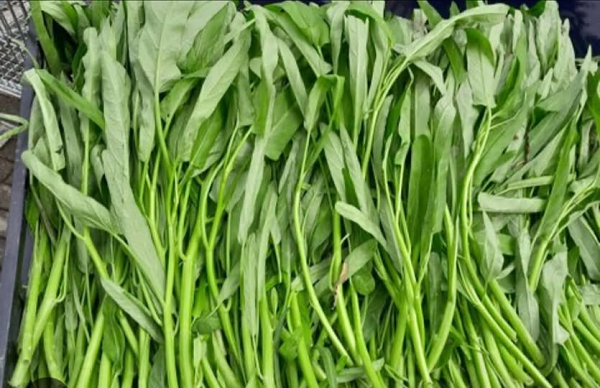 Loại rau tốt như 'tiên dược' mùa hè, bổ dưỡng bất ngờ: Chợ bán chỉ 5.000 đồng/mớ, không ăn thật phí