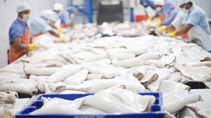 Loài động vật nhiều chân từ Việt Nam 'gây sốt' ở Hàn Quốc, Nhật Bản: Đã xuất sang hơn 20 thị trường lớn, mục tiêu 700 triệu USD trong tầm tay
