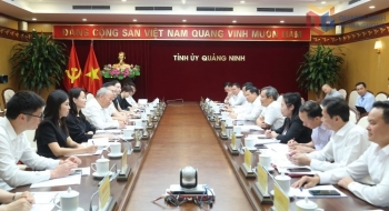 CPCG nhắm dự án hầm vượt biển lớn nhất Việt Nam: Doanh thu 76 tỷ USD, hợp tác với Vingroup, Vinaconex