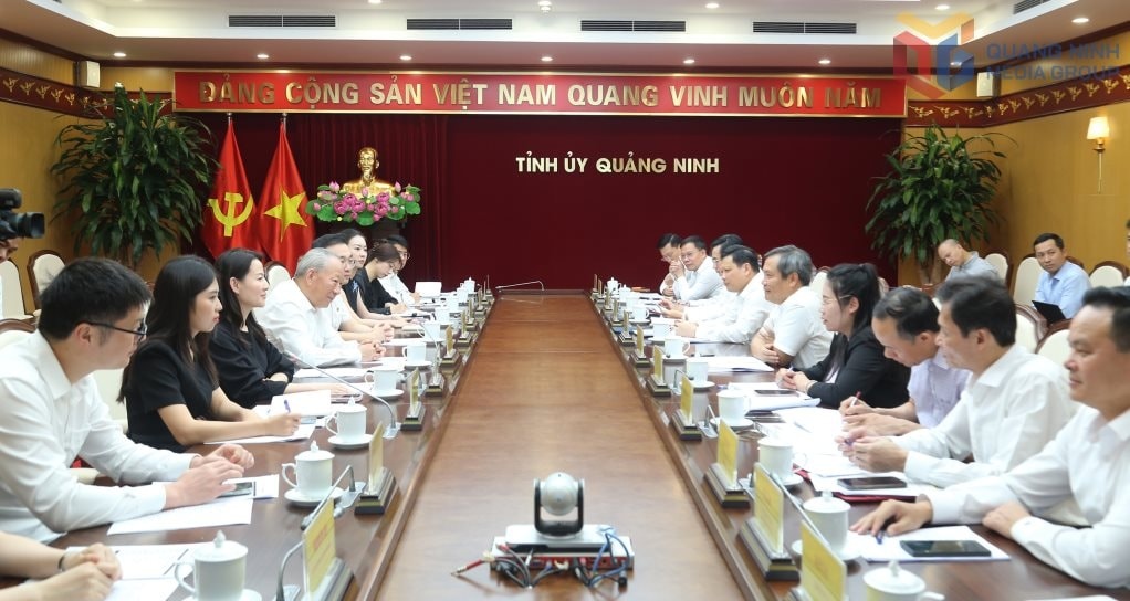Bắt tay Vingroup và Vinaconex làm loạt dự án gần 85.000 tỷ, đại gia Trung Quốc nhắm tiếp dự án hầm vượt biển lớn nhất Việt Nam