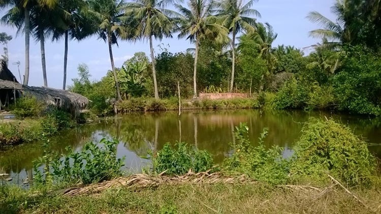 Hộ dân chuyển đất nông nghiệp sang đất ở có thể ‘thoát’ gánh nặng tiền tỷ theo đề xuất mới
