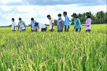 Hơn 5.200 tỷ đồng vốn tín dụng ngân hàng đã đến tay nông dân