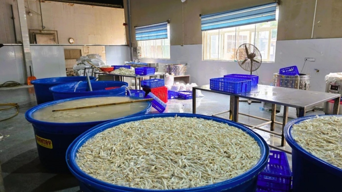 Phát hiện gần 7 tấn chân gà ngâm hóa chất tại kho đông lạnh ở Thanh Hoá
