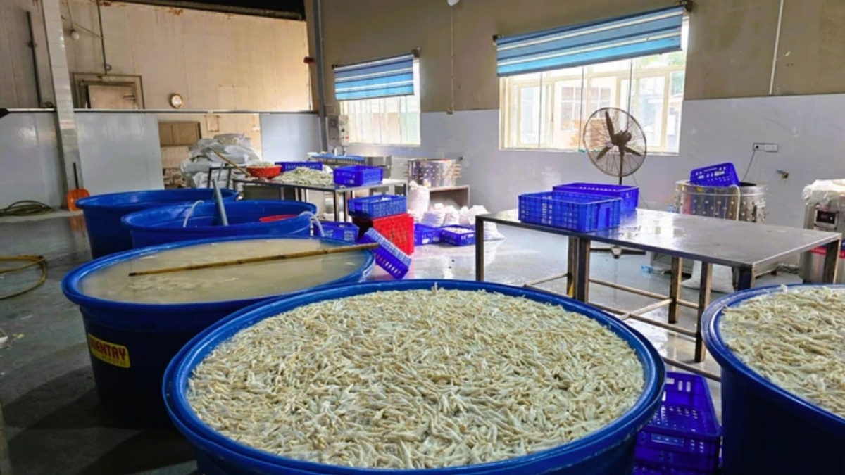 Phát hiện gần 7 tấn chân gà ngâm hóa chất tại kho đông lạnh ở Thanh Hoá