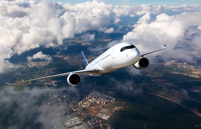 Vietravel Airlines phải hủy loạt chuyến bay do sự cố va chạm với chim