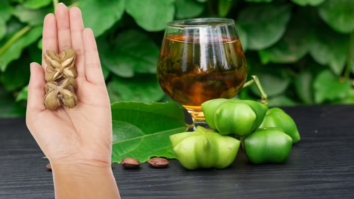 Loại hạt đắt đỏ bậc nhất thế giới, không ngờ có đầy ở Việt Nam