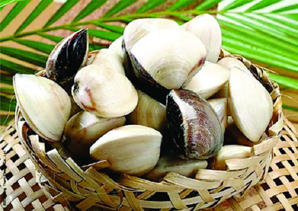 Loại hải sản bán đầy chợ, giá rẻ hơn thịt nhưng đầy dưỡng chất: Việt Nam có sản lượng 179.000 tấn/năm