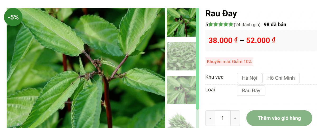 Loại rau được ví như ‘nhân sâm nhà nghèo’, giá chỉ 5.000 đồng/bó: Vừa giải nhiệt mùa hè lại giúp chị em trẻ lâu
