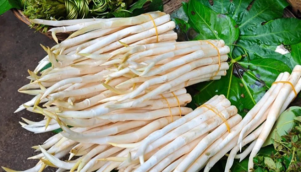 Thứ rau mọc dại có hình dáng lạ mắt, 'lớn nhanh như thổi', 10 ngày hái bán 1 lần: Vị ngon lạ miệng, giá lên tới 200.000 đồng/kg