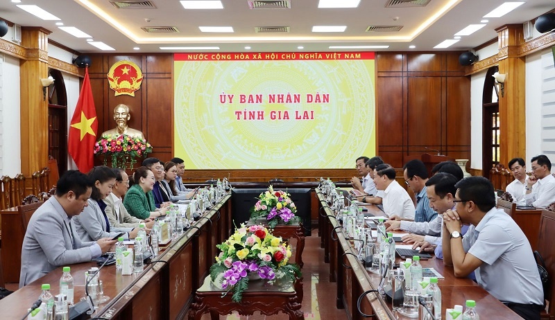 TTC AgriS muốn mở rộng vùng nguyên liệu mía tại Gia Lai lên 25.500ha