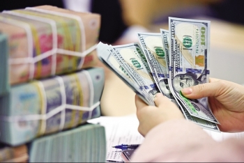 Kiều hối về TP.HCM 6 tháng đạt hơn 5 tỷ USD, tăng mạnh so cùng kỳ