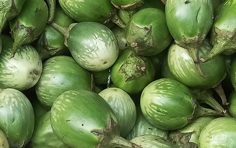 Từng rụng đầy gốc không ai nhặt, loại quả đắng ngắt này nay thành món ngon 'độc lạ', giá tới 120.000 đồng/kg