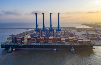 Viconship (VSC) tăng tốc nửa đầu 2025: Doanh thu, lợi nhuận cùng lập đỉnh mới