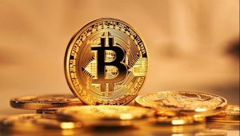 Bitcoin: Tài sản duy nhất đáng ‘HODL’ trong thế giới tiền số?