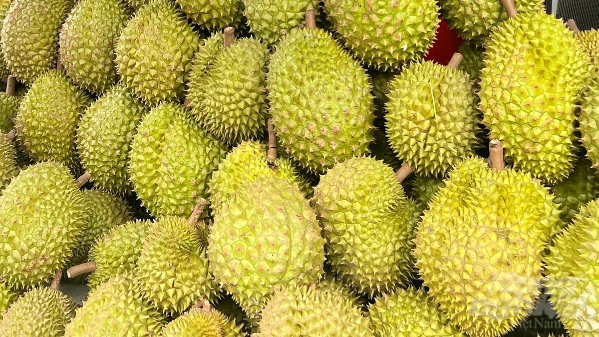 Sầu riêng phục hồi, dừa, xoài, chanh leo tăng tốc: Ngành rau quả đón tin vui lớn