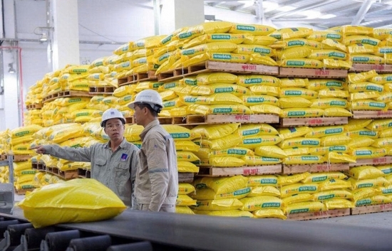 DPM tăng mạnh 45%, Đạm Phú Mỹ chốt thưởng cổ phiếu tỷ lệ cao