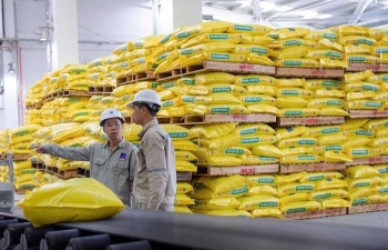 DPM tăng mạnh 45%, Đạm Phú Mỹ chốt thưởng cổ phiếu tỷ lệ cao