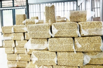 Xuất khẩu hạt vàng bật tăng mang về cho Việt Nam gần 2,4 tỷ USD nửa đầu năm, Trung Quốc tích cực thu mua