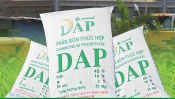 Giá bán tăng mạnh, một doanh nghiệp phân bón báo lãi 153 tỷ đồng, cao nhất 3 năm