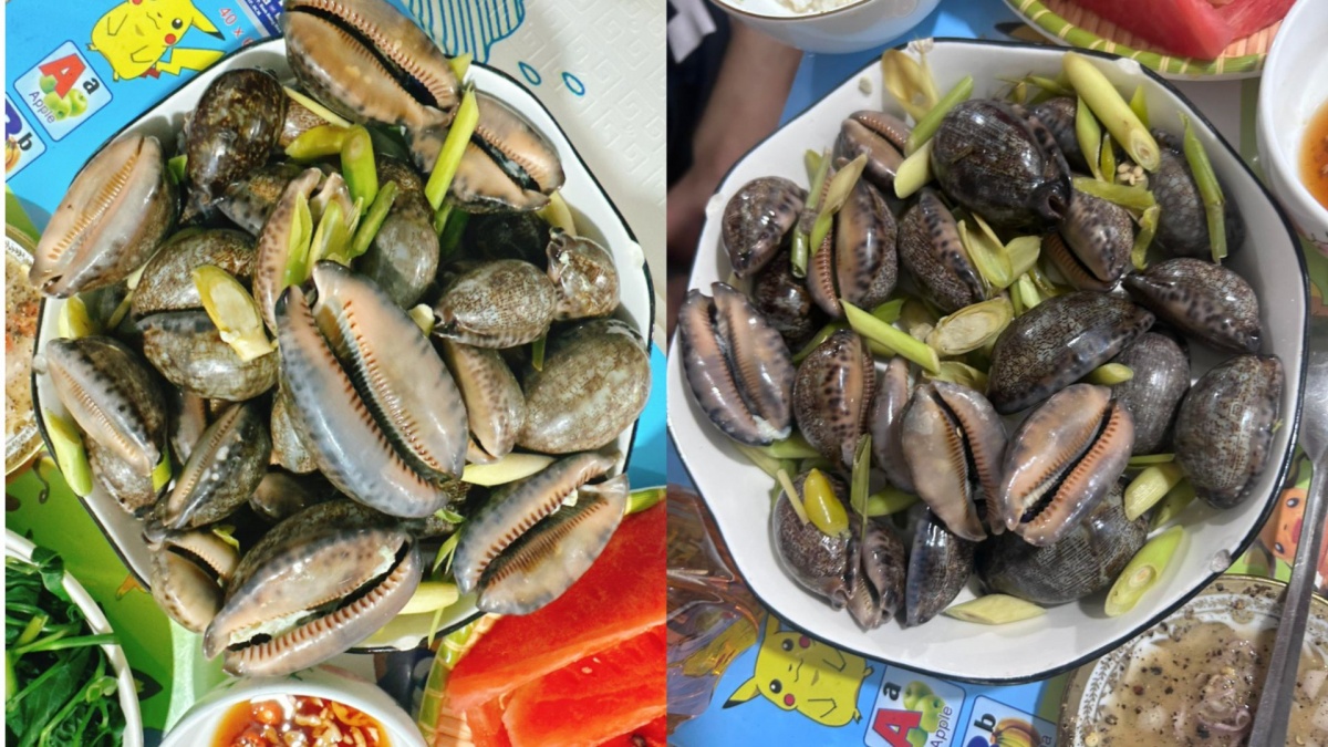 Đặc sản 'trời ban' ở biển Việt có tên thú vị, ăn giòn dai, thơm ngon giá lại hợp túi tiền