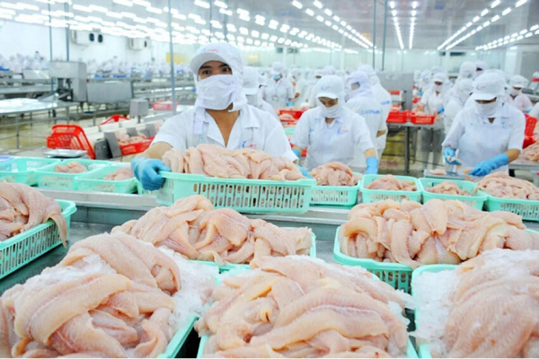 Một 'mỏ vàng' vừa mang về cho Việt Nam hơn 1 tỷ USD, được Mỹ - Trung Quốc đua nhau săn lùng: Nước ta dẫn đầu toàn cầu về sản lượng và xuất khẩu