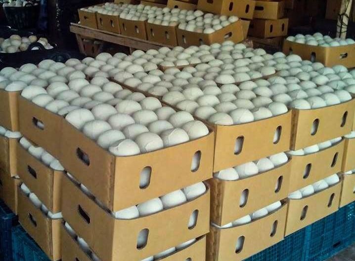 Loại trái cây bình dân đang tạo nên 'cơn địa chấn' cho nông nghiệp Việt khi Mỹ và Trung Quốc cùng mở cánh cửa nhập khẩu chính ngạch