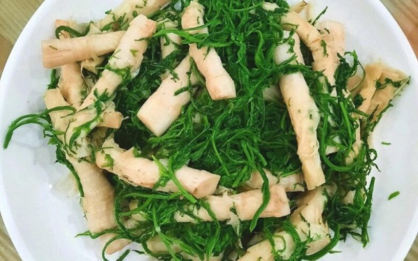 Loại rau rừng nghe tên đã thấy 'bốc mùi' xưa có đầy nay thành đặc sản 'ăn một lần nhớ mãi', giá cao vẫn hút khách sành ăn