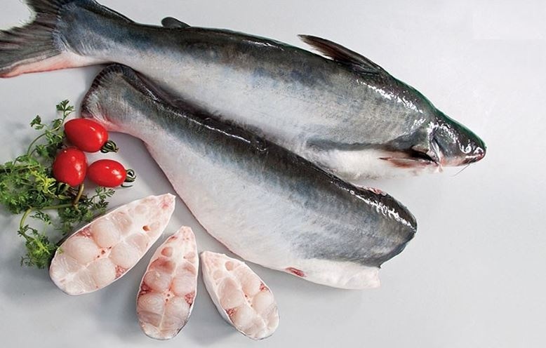 Loại cá dễ nuôi vừa mang về cho Việt Nam 1 tỷ USD