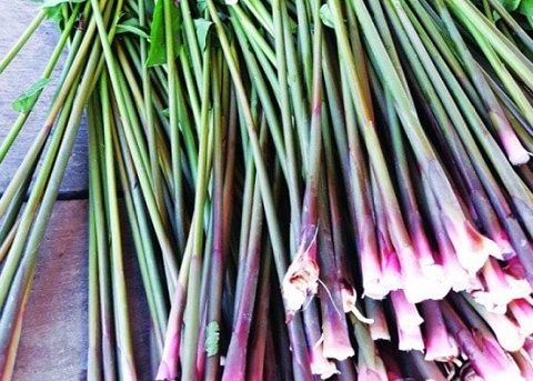 Thứ tưởng chỉ nhổ vứt đi lại là đặc sản ngon lạ lùng, dân thành phố ưa chuộng giá tới 50.000 đồng/kg