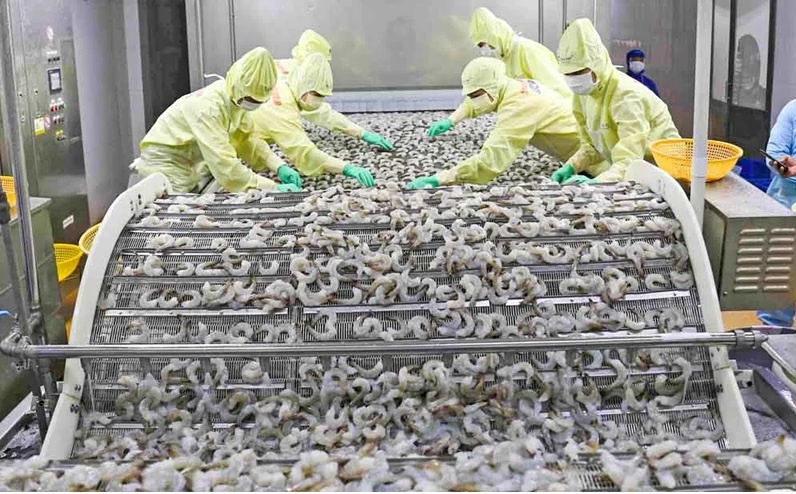 Mỹ mất ngôi, Trung Quốc trở thành khách hàng số 1 của ‘át chủ bài’ thủy sản Việt
