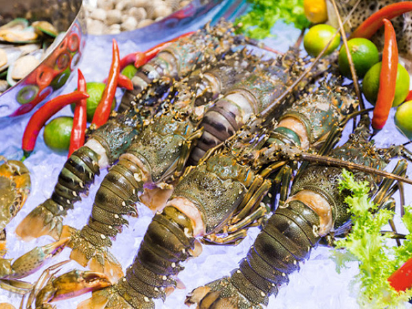 Một 'mỏ vàng dưới nước' vừa giúp Việt Nam thu về hơn 2 tỷ USD: Trung Quốc, Nhật Bản đua nhau chốt đơn, nước ta trở thành 'ông trùm' thứ 2 thế giới