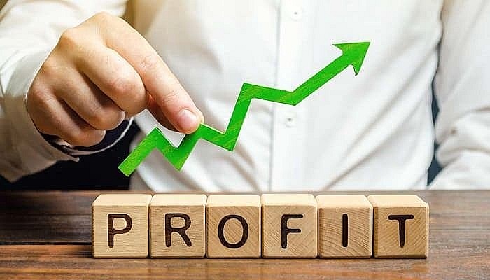 Điểm danh 5 doanh nghiệp đầu tiên báo lãi quý II/2025 tăng trên 1.000%