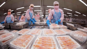 Vượt mặt Trung Quốc, Na Uy: Việt Nam vươn lên top 3 nhà cung ứng thuỷ sản lớn nhất tại đảo quốc sư tử