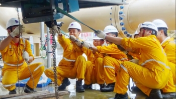 Việt Nam có ngành học 4 năm liền lọt Top thế giới: Điểm chuẩn cực 'dễ thở', thu nhập vượt ngưỡng 46 triệu/ngày