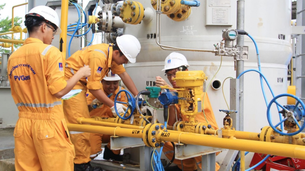 Việt Nam có ngành học 4 năm liền lọt Top thế giới: Điểm chuẩn cực 'dễ thở', thu nhập vượt ngưỡng 46 triệu/ngày