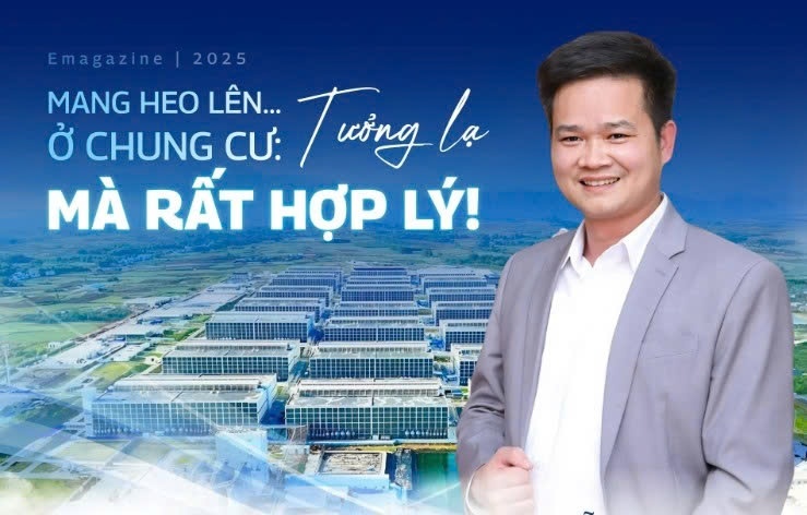 Mang heo lên... ở chung cư: Tưởng lạ mà rất hợp lý!