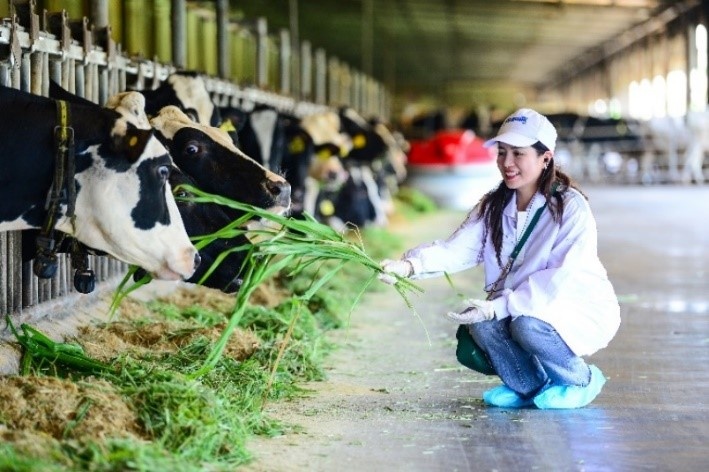 Trang trại Vinamilk Green Farm dưới lăng kính phát triển bền vững có gì đặc biệt?