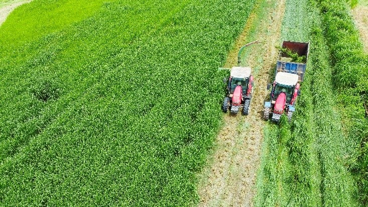 Trang trại Vinamilk Green Farm dưới lăng kính phát triển bền vững có gì đặc biệt?