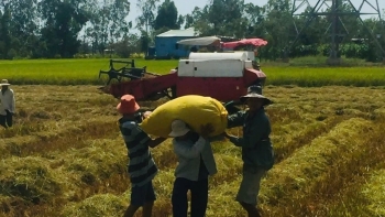 Nông dân Đồng Tháp từng trăn trở trước nỗi vất vả, nay ‘ăn nên làm ra’ nhờ bước chuyển mình: Trồng lúa giờ nhàn tênh, thu nhập tiền tỷ lại ‘giúp người