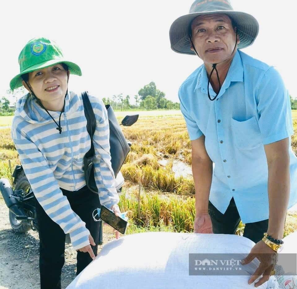 Nông dân Đồng Tháp từng trăn trở trước nỗi vất vả, nay ‘ăn nên làm ra’ nhờ bước chuyển mình: Trồng lúa giờ nhàn tênh, thu nhập tiền tỷ lại ‘giúp người