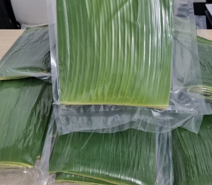 Xuất khẩu một phụ phẩm từ cây chuối, Việt Nam âm thầm vươn lên vị trí top 2 toàn cầu