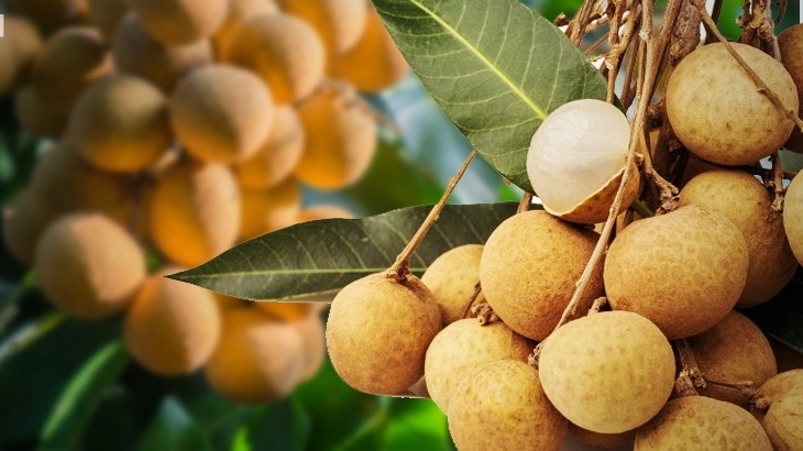 Trái ngọt này đang khiến nông dân Thái Lan đau đầu vì sản lượng quá khủng, chính phủ tung 8 chiêu giải cứu
