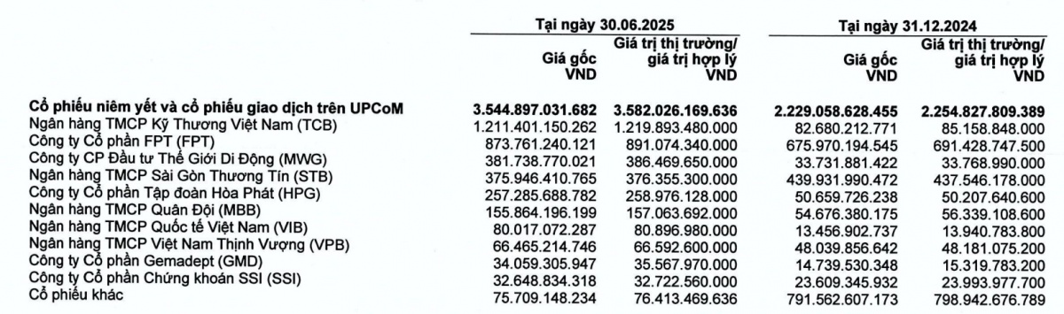 Đem hơn 12 tỷ USD đi đầu tư, gần 80 công ty chứng khoán phân bổ dòng tiền ra sao?