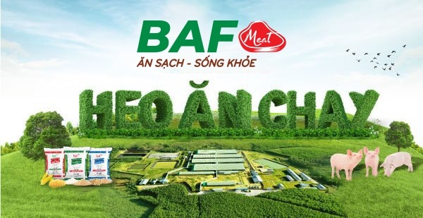 BAF lãi kỷ lục 196 tỷ đồng trong quý II/2025, tăng trưởng 445%